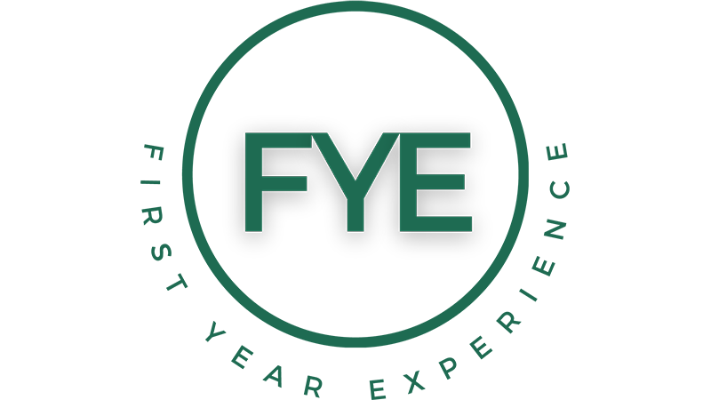 FYE logo.