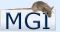 MGI Database (Mouse Genome Informatics)
