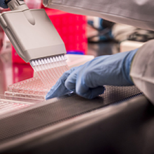 Center For AIDS Research