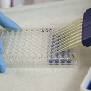 Bio-Analytical Redox Biology (BARB) Core