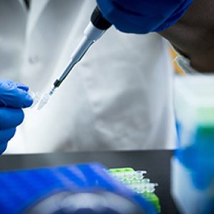 Small Animal Microsurgical Core