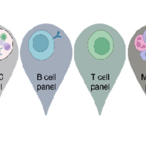Immunophenotyping Core
