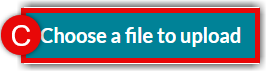 Choose a file to upload button