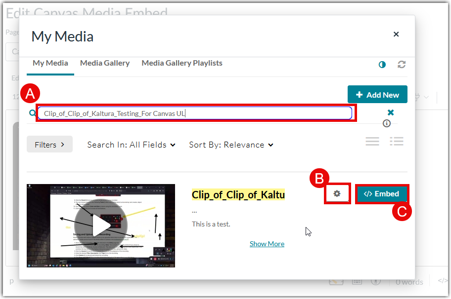 RCE Canvas Media Replacement Step 5