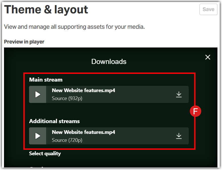 the Downloads pop-up menu showing stream options for "Main stream" and "Additional streams" with a red border and label F highlighting the download selections.