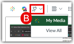 Embed settings