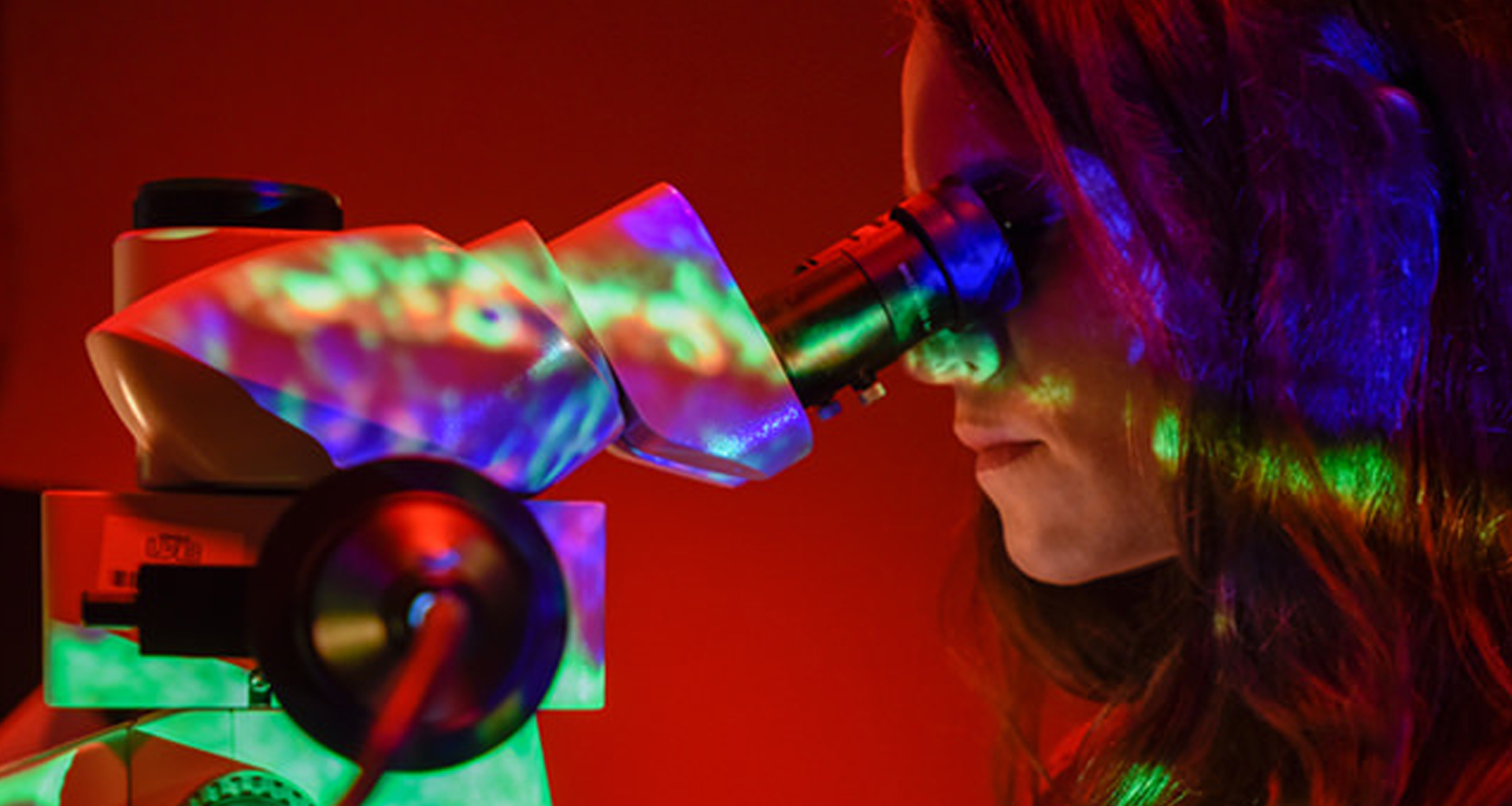 Vision Science, PhD Find Your Degree