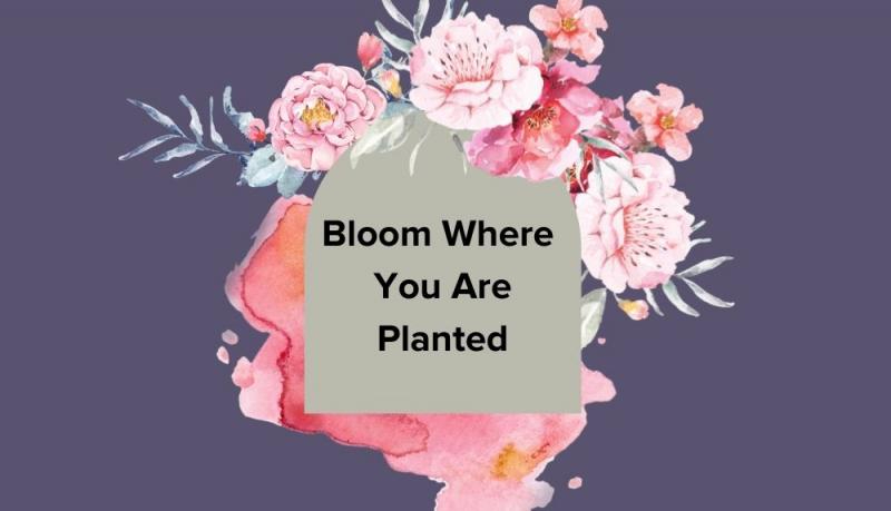 CSW Bloom Where You are Planted