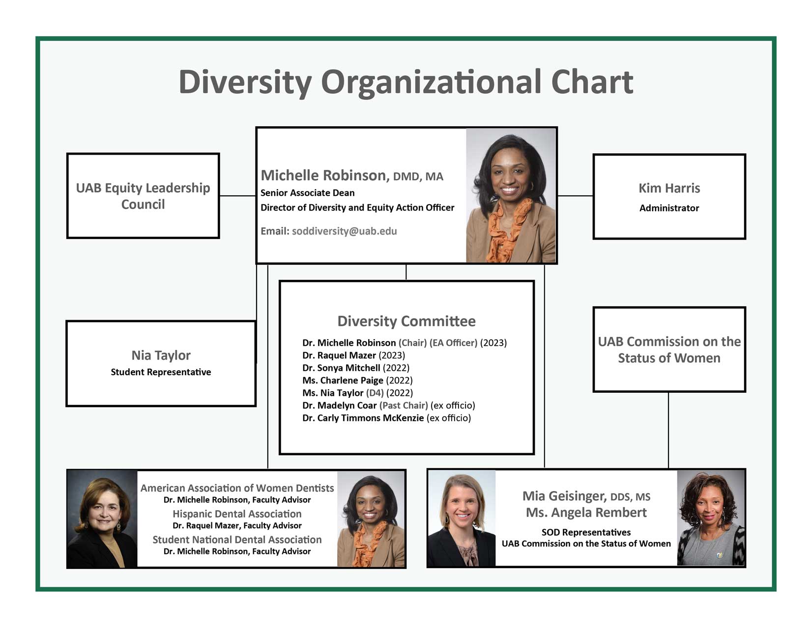 Diversity Organizational Chart - follow link for accessible text.