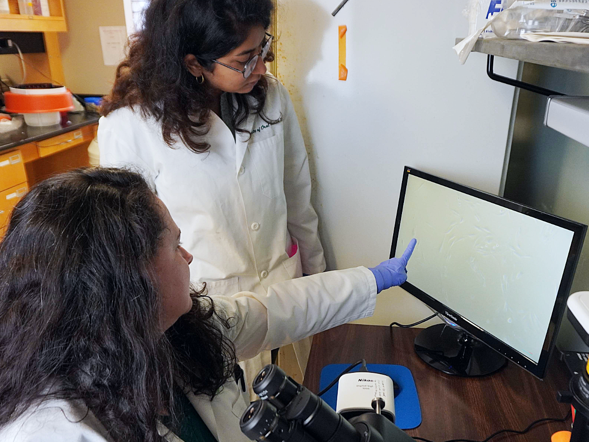 Summer Research Partnerships