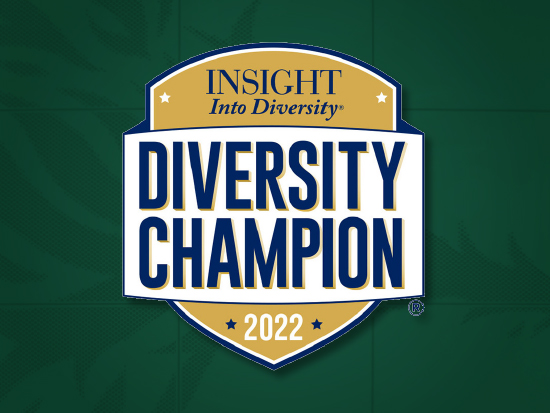Insight Into Diversity Oct 2022