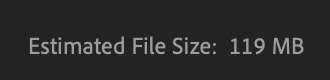 Screenshot of estimated file size.