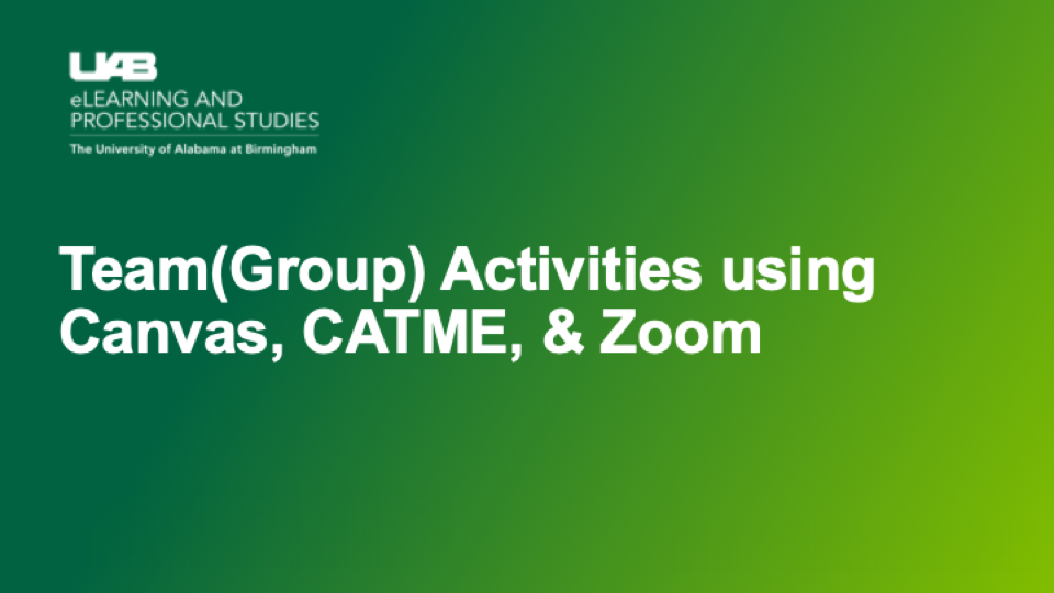 Canvas eLearning UAB