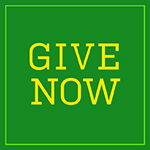 Give Now 