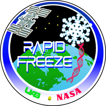 Rapid Freeze Patch