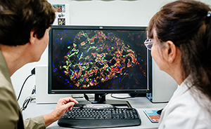 Thrust 4: ReaxFF Simulation