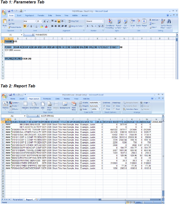 Screenshot: Tab 1, Parameters Tab, and Tab 2, Report Tab.