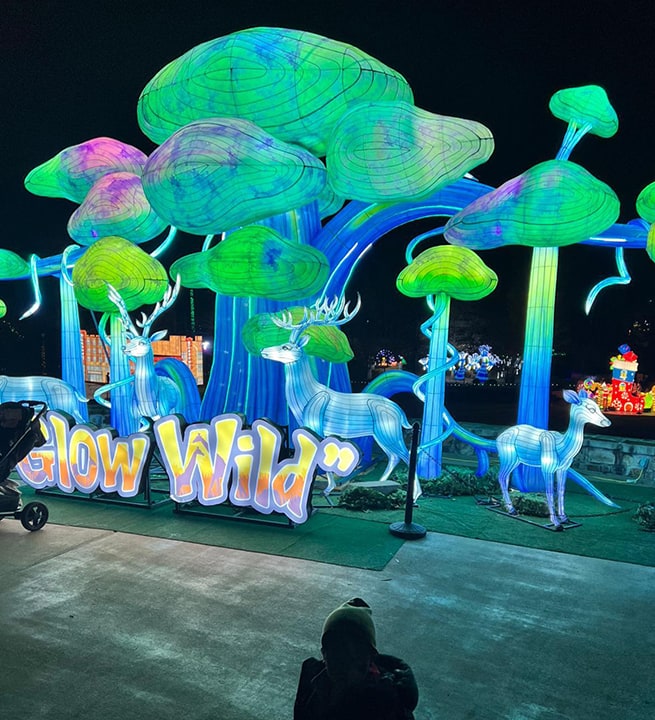 Glow Wild at the Birmingham Zoo December 2024 - 2