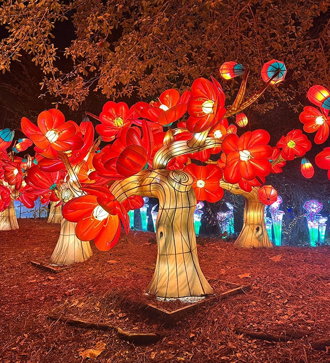 Glow Wild at the Birmingham Zoo December 2024 - 3