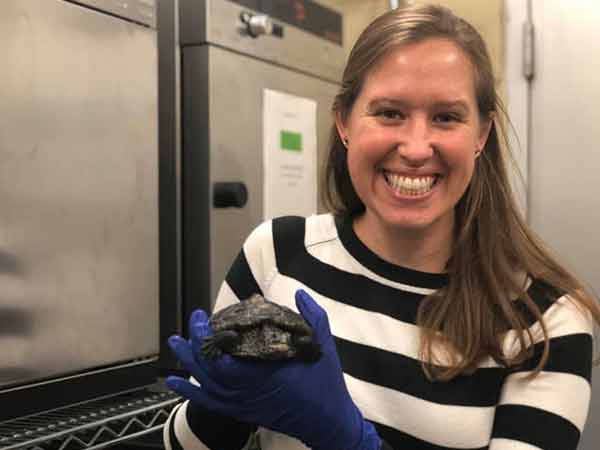 Discoveries Behind the Scenes