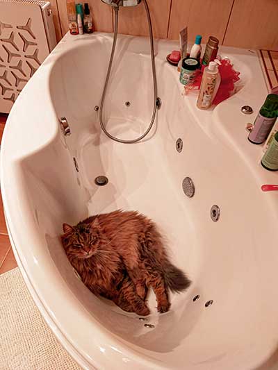 Anna Maria Schreiber