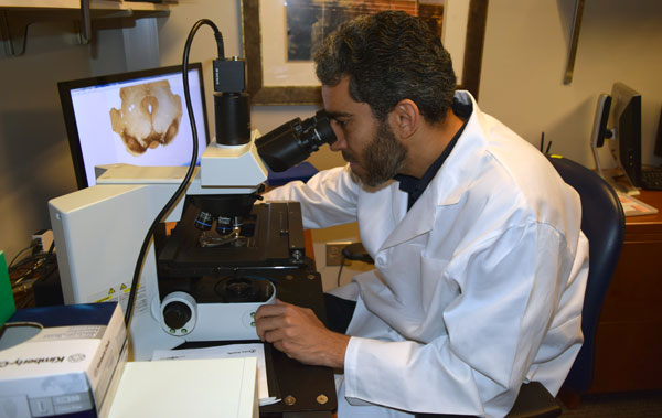 Hisham Abdelmotilib looking through microscope.