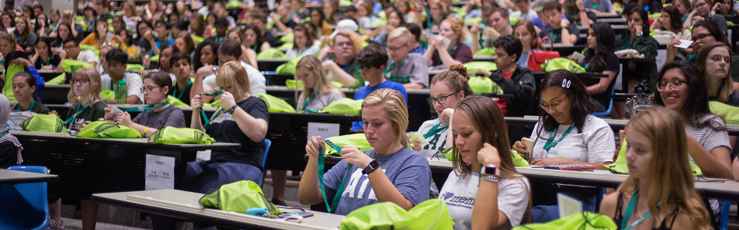 Faculty Fellows header