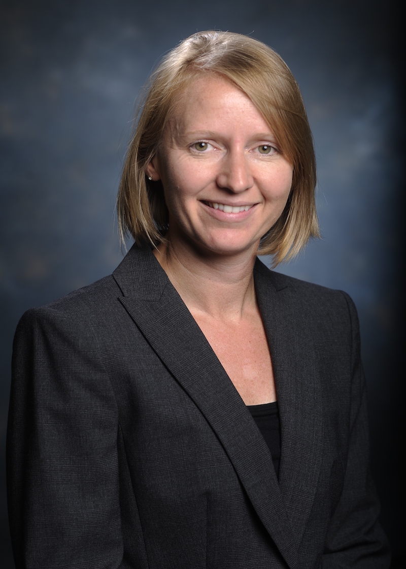 Paula Chandler Laney hc