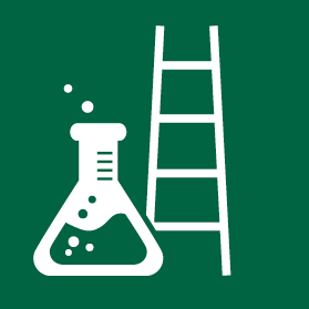 Research Career Ladder