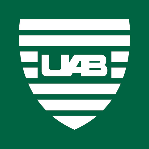 UAB Values in Action Program (UAB VIP Award)