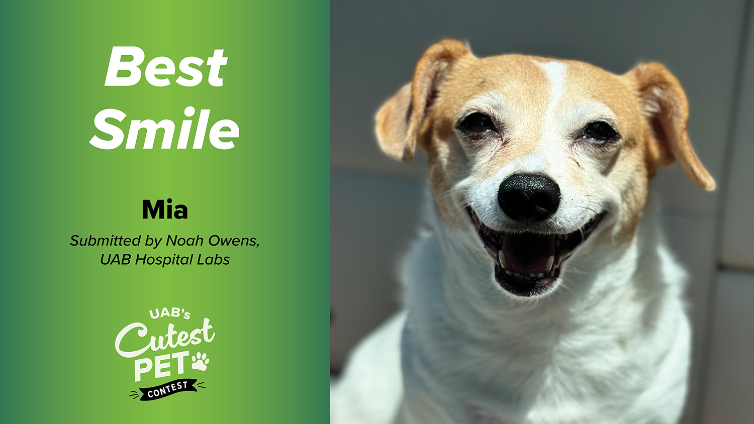 PetPics2024 Who BestSmile