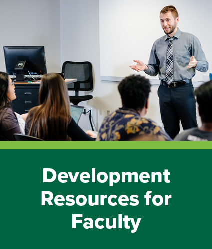 Development Resources for Faculty