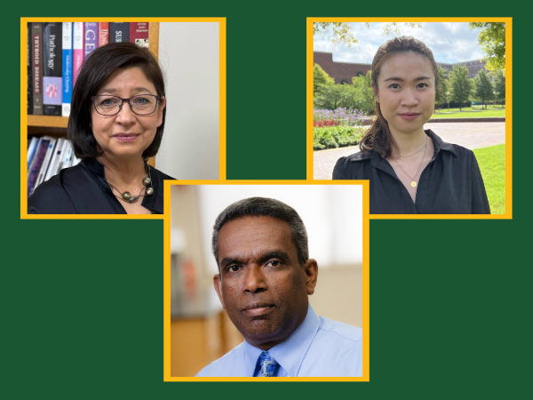 UAB research explores Nav1.7 blockers as potential treatment for aggressive thyroid cancer