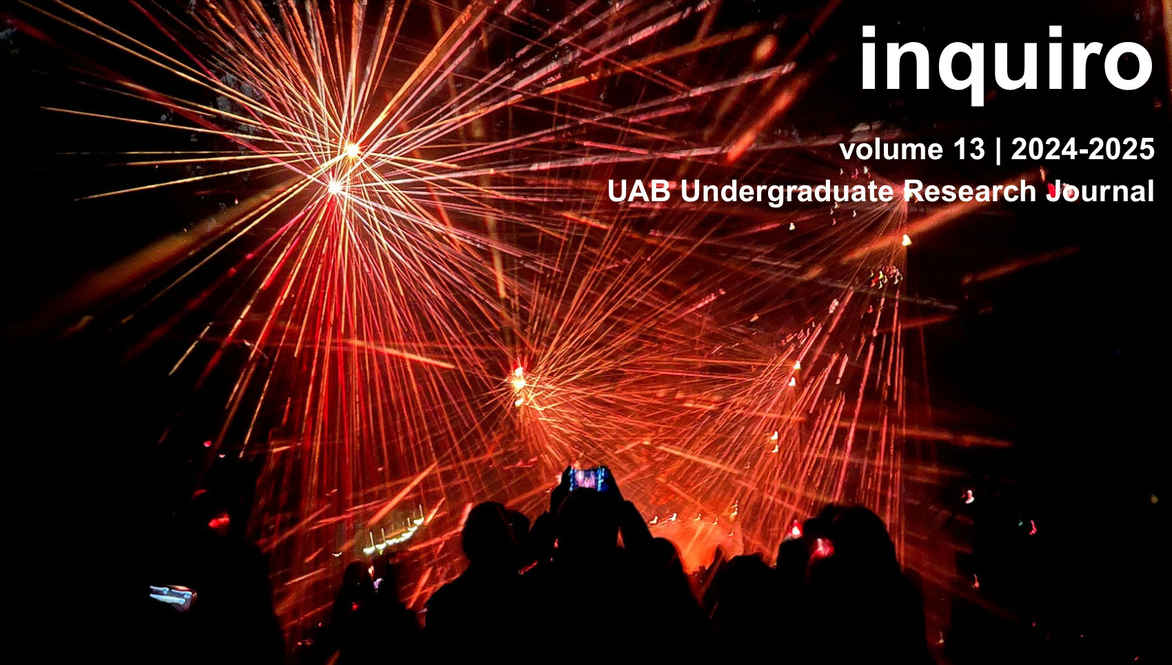 Inquiro Vol. 13 - a crowd at night with cameras pointed up at a red laser light show.