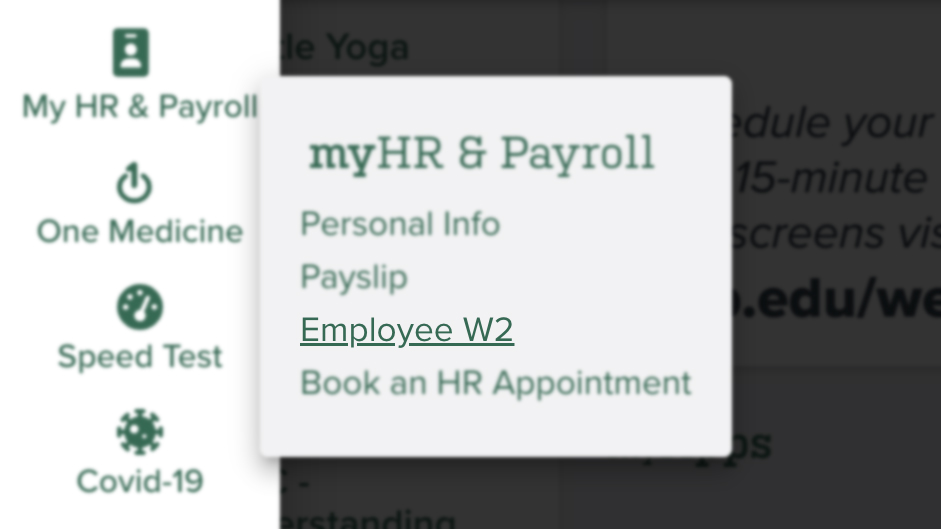 IT, Payroll help mask personal and tax information