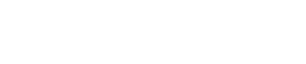 IT Logo