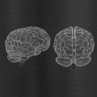 Frank Skidmore studies brain images for research on Parkinson's Disease