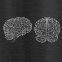 Frank Skidmore studies brain images for research on Parkinson's Disease