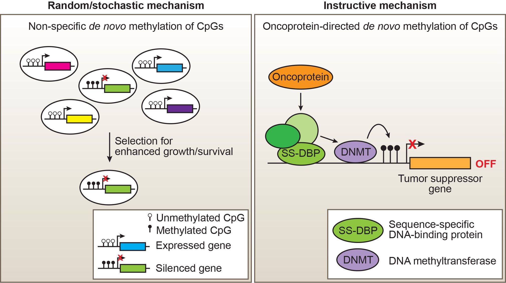 Gene silencing mechanisms