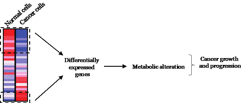 Metabolic Dependencies