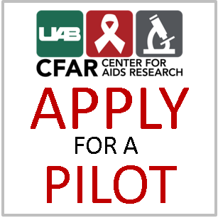 Apply for a pilot2