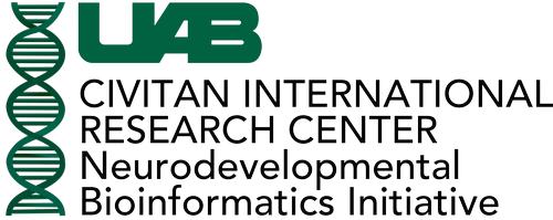 Neurodevelopmental Bioinformatics Initiative logo
