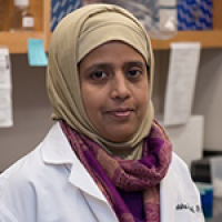Nabiha Yusuf, PhD, MSPH