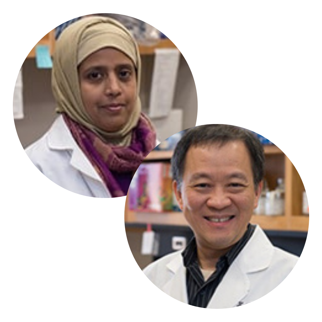 Nabiha Yusuf, Ph.D., MSPH and Dr. Hui Xu, M.D., Ph.D.
