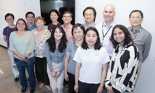 Liping Tang DOM Summer 2025 STAR for Staff Excellence