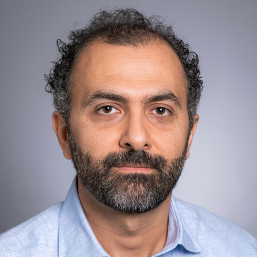 Hassan Alawieh, MD