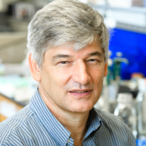 Headshot of Dr. Steyn
