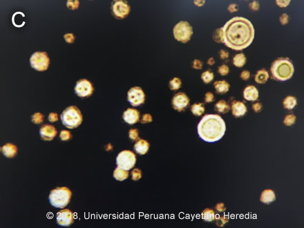 Images for Case 2018-05