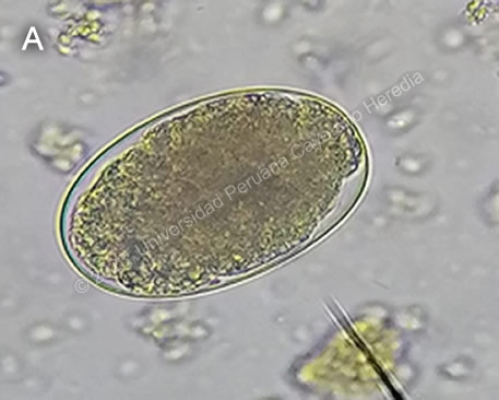 Image for Case 2023-07