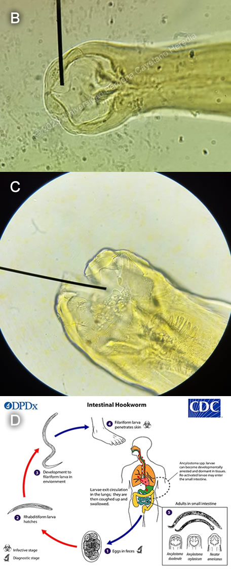 Images for Case 2023-07
